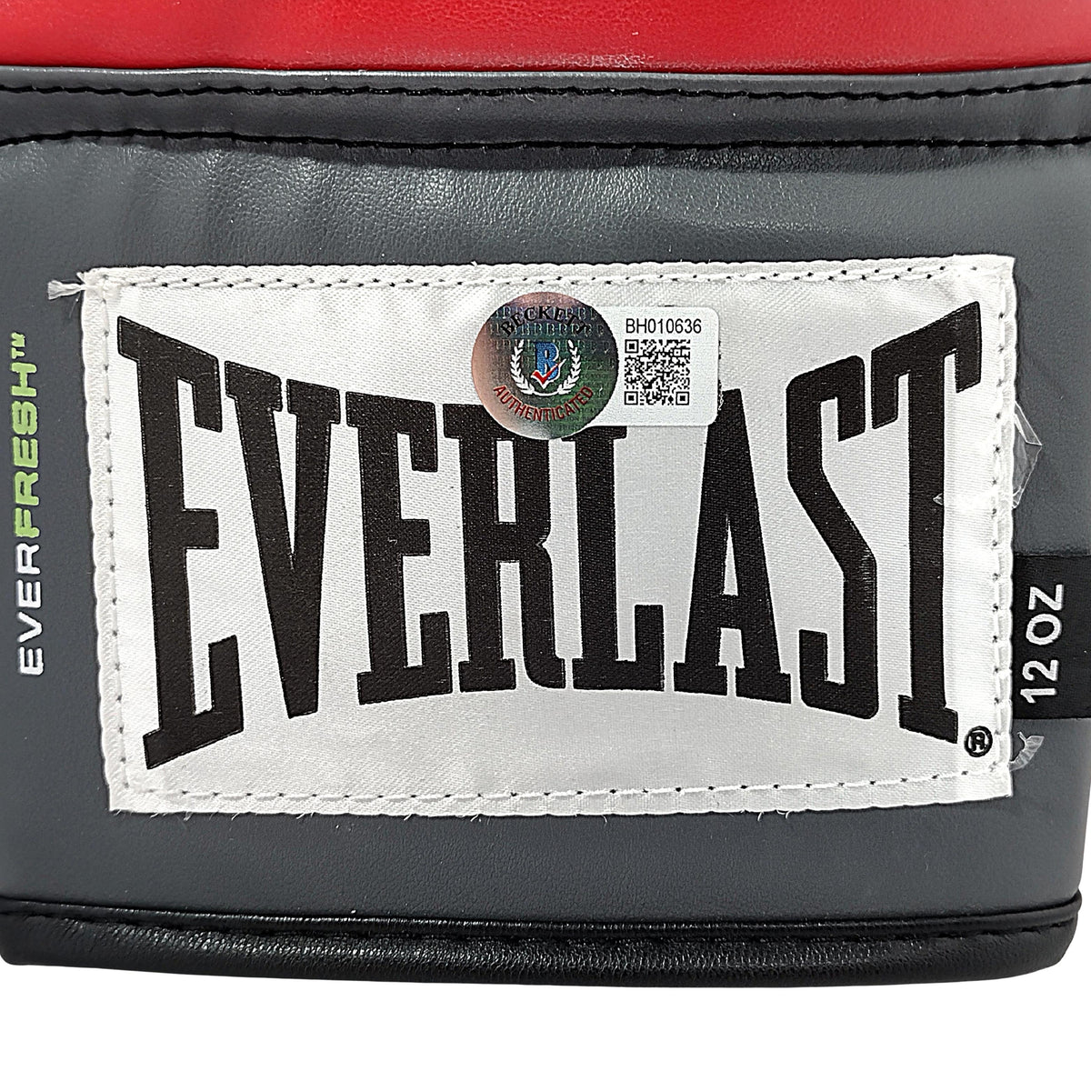 Shawn Showtime Porter Signed Everlast Auto Glove Beckett BAS